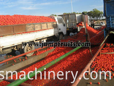 tomato jam processing plant